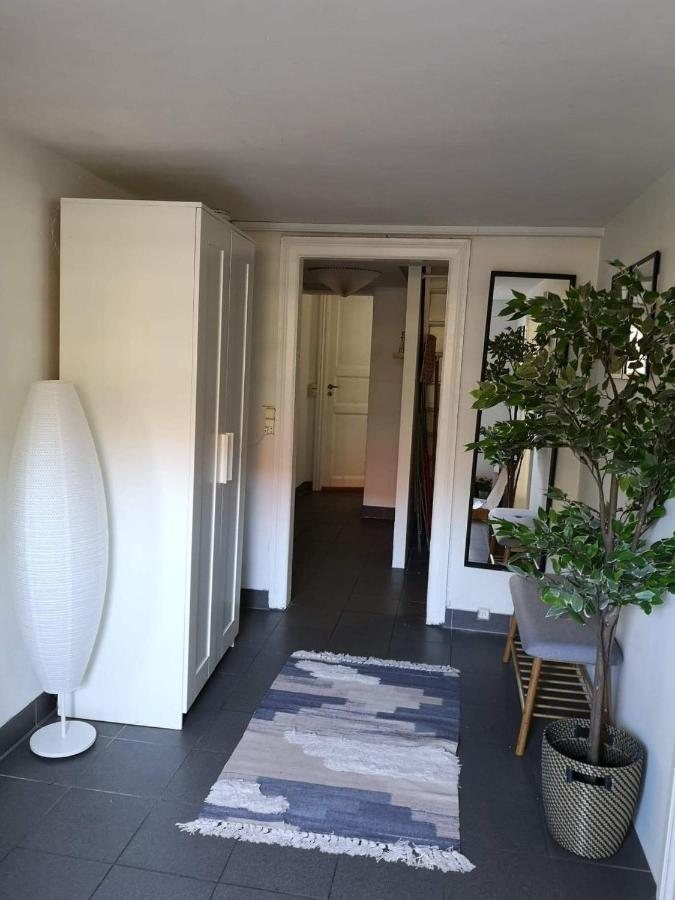 Spacious Cellar Apartment Hvidovre Exterior photo