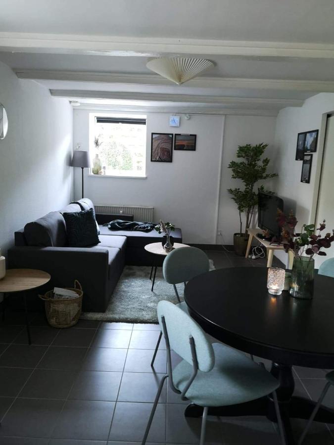 Spacious Cellar Apartment Hvidovre Exterior photo